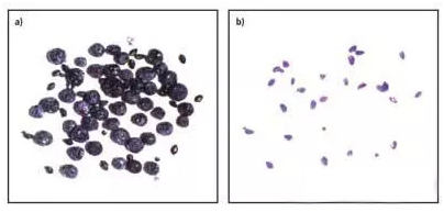 視覺檢測(cè)設(shè)備