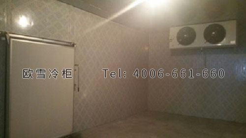 歐雪雙溫物流倉(cāng)儲(chǔ)冷庫(kù)安裝.jpg