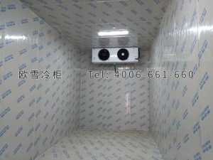 振新(重慶)農(nóng)業(yè)科技開發(fā)有限公司物流倉儲冷庫