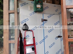 東莞厚街鎮(zhèn)10立方的水果保鮮冷庫(kù)安裝案例
