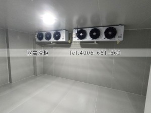 福建醫(yī)院兩個(gè)小型疫苗冷藏冷庫安裝案例